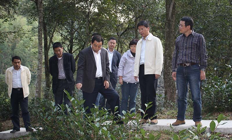 區(qū)委、區(qū)政府關(guān)注公司桃源野茶谷建設(shè)與發(fā)展情況.jpg