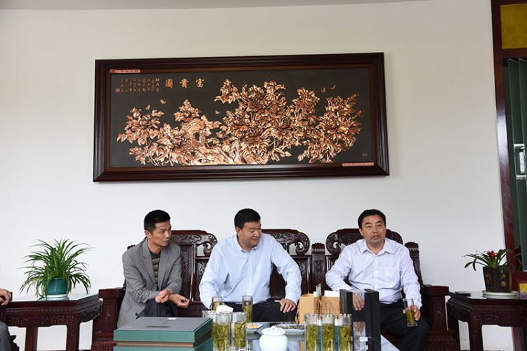 國藥集團安徽公司總經理張平一行考察六百里茶業(yè).jpg