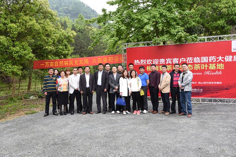 國藥集團安徽公司總經理張平一行考察六百里茶業(yè).jpg