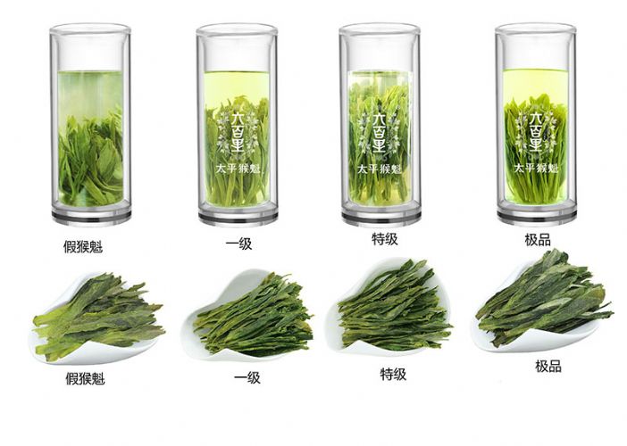 太平猴魁是最大、最好、最珍貴的茶.jpg